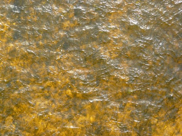 Brown Water Texture 0002 Texturelib